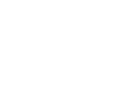 Steak 'n Shake logo